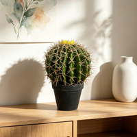 Plante succulente artificielle en PE de haute qualité et durable - Décoration intérieure pour la Saint-Valentin - Écologique, lavable et légère