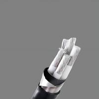 Stahlband-Armiertes YJLV22 0,6/1kV Aluminium-Stromkabel für Außenverteilung