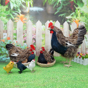 Modèle de poulet de simulation, spécimen de coq, ornement de poule, accessoires décoratifs pour supermarché, poulet domestique pondeur, jouet de poulet - Product Image 2