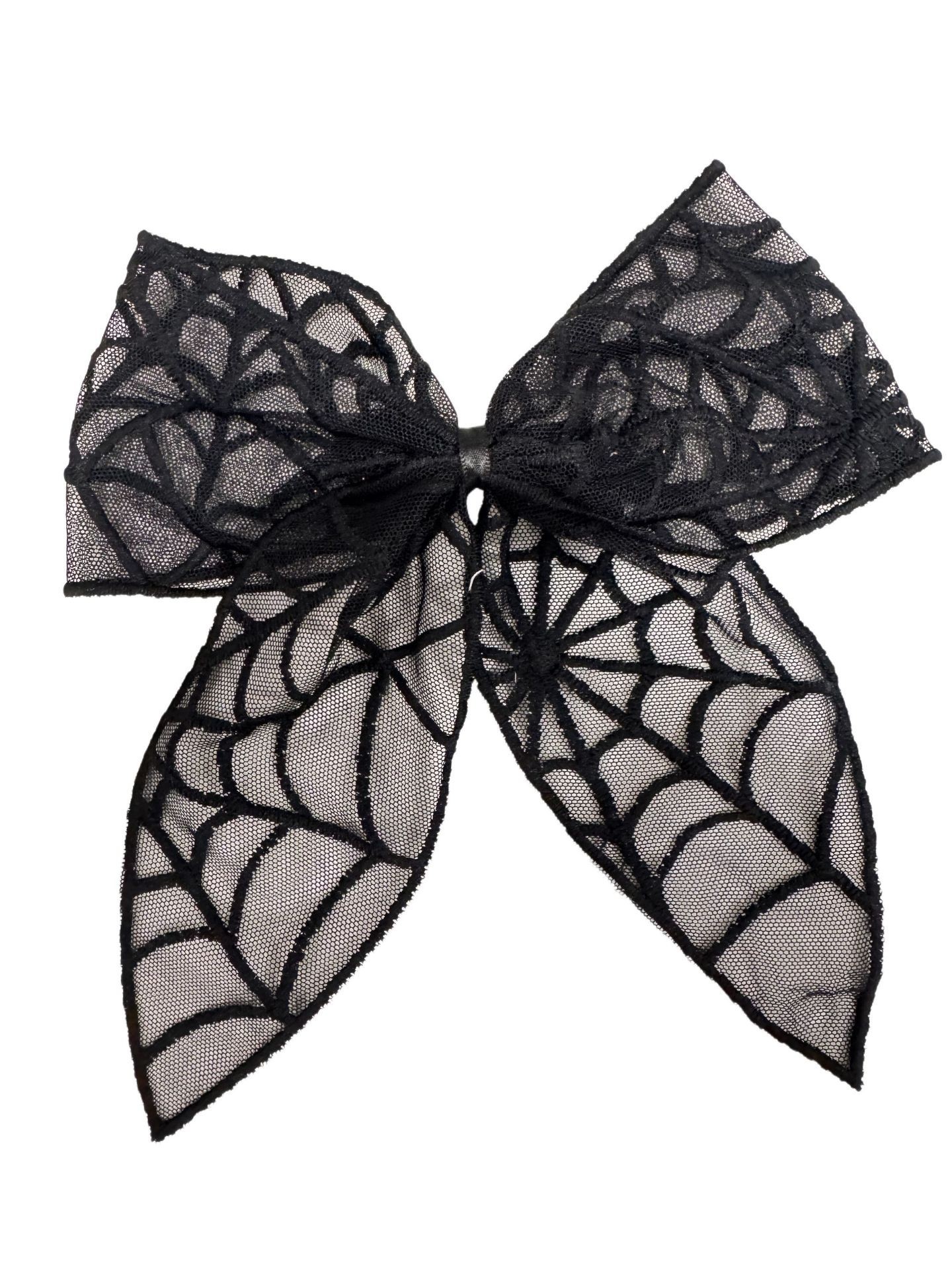 Spider Web