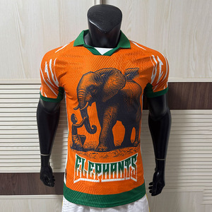 25-26 Yaz Sezonu Rahat Polyester Spor Formaları OEM Hizmeti Afrika Oyuncuları Edisyonu Fildişi Sahili Fas Senegal İçin Üstün Kalite - Product Image 3