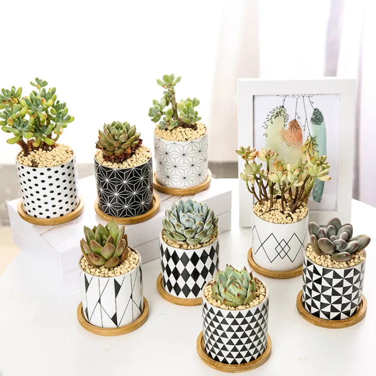 New geometric pattern black and white succulent flower pots ceramic flower pots