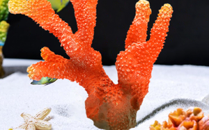 ของตกแต่งตู้<span class=keywords><strong>ปลา</strong></span>ขนาดใหญ่ ปะการังเทียมเรซิ่นหลากสีสัน สำหรับตู้ปลา มีจำหน่าย - Product Image 2