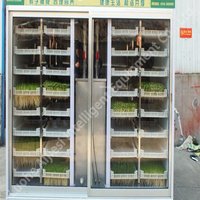 Plateau de germination pour semences de légumes verts, de blé, de germe de soja, de graminées, de fourrage pour animaux, 220v