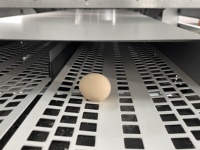 Nichoirs à poules avec système de récupération des œufs, équipement d'élevage avicole, pour ferme avicole, à vendre