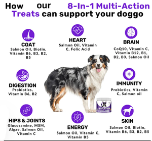 Etiqueta privada 8 1 Multivitamínico Masticables suaves <span class=keywords><strong>para</strong></span> <span class=keywords><strong>perros</strong></span> Gatos Glucosamina Aceite de salmón Vitaminas infundidas Trata Suplementos <span class=keywords><strong>para</strong></span> el cuidado de la salud - Product Image 3