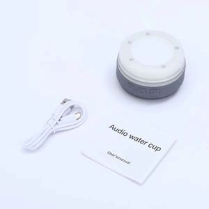 Luxury Vacuum Insulated <b>Thermos</b> Cup With 600Ml Capacity for Gifting - Product Image 4