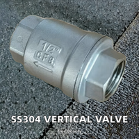Válvulas de Retención Verticales de Acero Inoxidable con Sellado de PTFE 304/316 para Calderas de Vapor en Línea, Lavado, 1/2" CF8, Antirretorno, Alta Presión, Directas