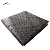 Tapis de mise à la terre pour revêtement de sol extérieur, événements, antidérapant, UHMWPE, directement de l'usine