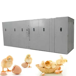 Incubadora de huevos de gallina 10000 usada, suministro de fábrica para la venta, incubadora agrícola de caracol