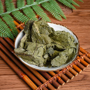 Du zhong <span class=keywords><strong>e</strong></span> чистые и не содержат примесей китайские травы с листьями <span class=keywords><strong>Eucommia</strong></span> ulmoides Folium eucommiae листья - Product Image 5