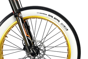 Bicicleta eléctrica de llanta ancha retro, venta al por mayor, China, 2021 w, 1000 - Product Image 2