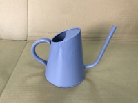 Arrosoir vintage en acier galvanisé durable de 900 ml pour plantes d'intérieur et d'extérieur