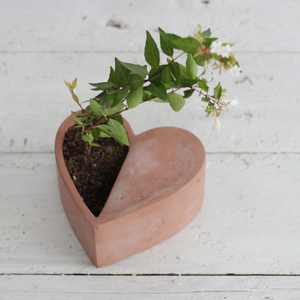 กระถางซีเมนต์อวบน้ำพร้อมช่องระบายน้ำ,รูปหัวใจสีสวยสไตล์สร้างสรรค์สำหรับตกแต่งสวนในบ้าน - Product Image 2