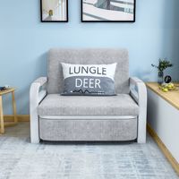 Sofá Cama HANYEE de 2 Plazas en Tela Gris con Esponja de Estilo Moderno Muebles para Sala de Estar con Almacenamiento Marco Plegable de Madera/Metal para Dormitorio