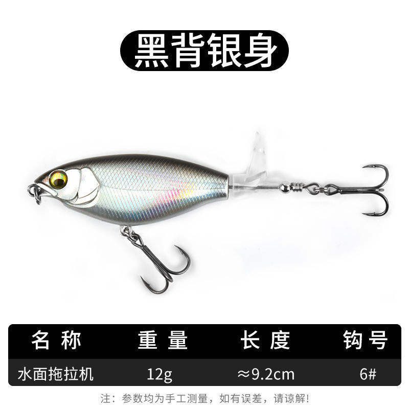 12g - Noir (dos) - Corps argenté