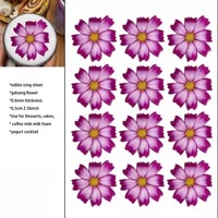 Accessoires de décoration de gâteaux : Feuilles de décorations comestibles personnalisables avec impression d'images, en papier sucré, pour boissons, donuts et desserts