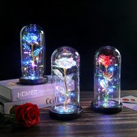 Veilleuse fleur éternelle avec couvercle en verre envoyé cadeau d'anniversaire saint valentin pour petite amie mère Rose scène mise en page décoration