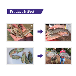 Probiotica Voor Het Verhogen Van De Visgroei Diervoeder Probiotisch Supplement Effectief Aminozuur Poeder - Product Image 3