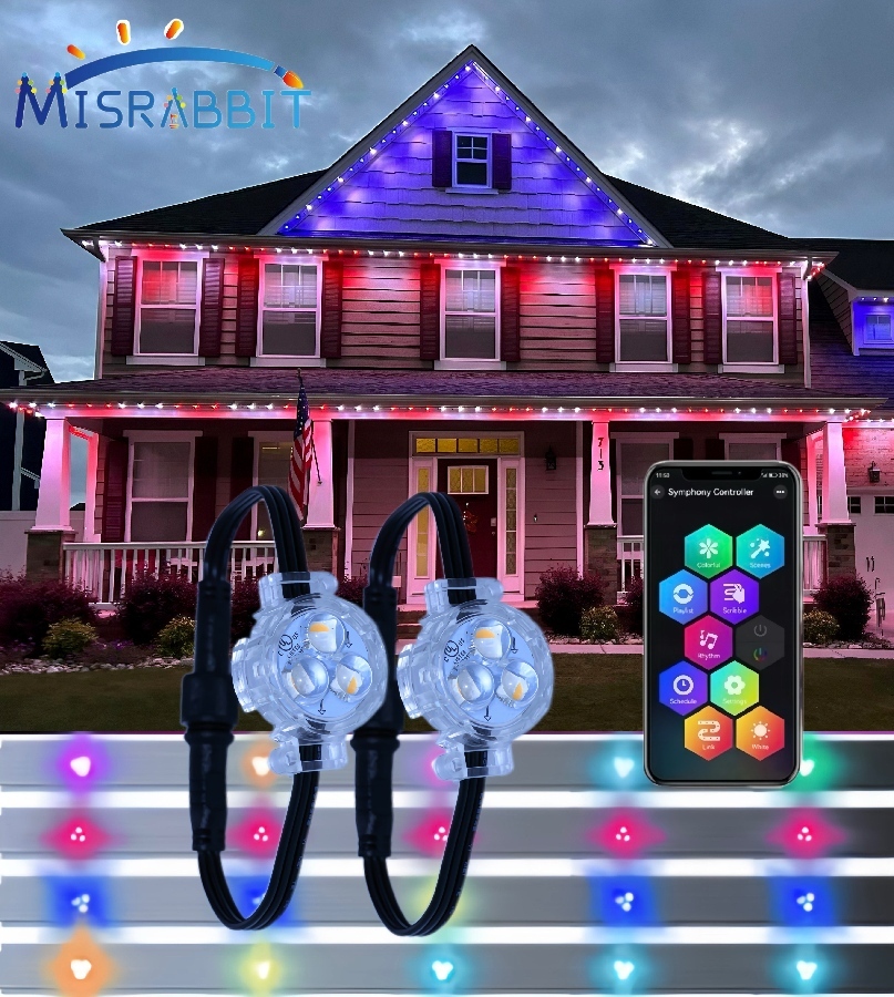 Shenzhen Misrabbit 24v 30mm 60mm RGB LED IP68 Outdoor Christmas Permanent Lights Pixel Led Light