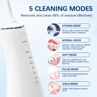 Tragbares Haushalts gerät 250ml Wasser flosser Batterie betriebenes Zahn reinigungs gerät