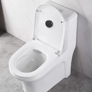 Flush Smart Toilet Automatisches intelligentes WC mit Fernbedienung