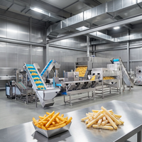 Ligne de production automatique de frites, construction entièrement soudée en SUS304 pour une transformation alimentaire hygiénique, usage industriel