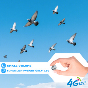 Bagues de patte GPS VN06 pour pigeons, traceur GPS 4G, positionnement GPS en temps réel, bague GPS pour pigeons, traceur pour animaux de compagnie, pour les jeux - Product Image 3