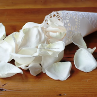 Rozen Eeuwige Rozenblaadjes Voor Altijd Rozen Voor Bruiloft Confetti Deco Geconserveerde Planten En Bloemen Bloemblad Biologisch Afbreekbaar Groot Formaat Y