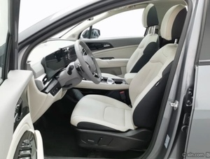 <span class=keywords><strong>Auto</strong></span> usata Lion Platinum Expansion 2025 1.5T 2WD Edizione Premium in offerta speciale - Product Image 4