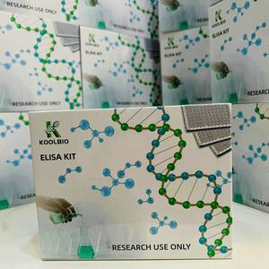 Набор MCP-1 крыс (CCL2) ELISA, набор для обнаружения хемотаксического белка 1 моноцитов - Product Image 1