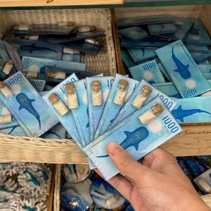 Aimant de réfrigérateur Requin-baleine des Maldives avec bouteille de sable, cadeau souvenir créatif style monnaie - Product Image 2