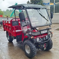 Quad 300CC à moteur refroidi par eau, véhicule utilitaire agricole à benne basculante, buggy de plage