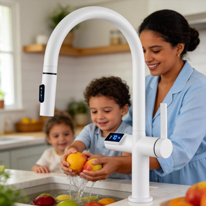 Robinet de <span class=keywords><strong>cuisine</strong></span> monocommande en acier inoxydable avec douchette extractible pivotante à 360°, fonction <span class=keywords><strong>eau</strong></span> chaude et froide, économiseur <span class=keywords><strong>d</strong></span>'<span class=keywords><strong>eau</strong></span> et anti-brûlure - Product Image 1