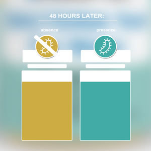 E. 콜리 박테리아 물 테스트 스트립 식수 테스트 키트 - Product Image 6