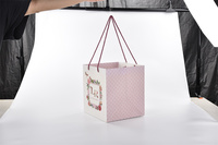 Sacs en papier de luxe sur mesure, modèle NA-2405-067-OP, finition mate PP, découpe à la presse, qualité carton S/S, vente chaude