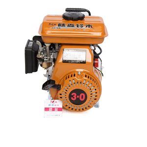 רב תכליתי קטן מנוע 2.5hp להשתמש עבור משאבת, גנרטור, מכונה - Product Image 5