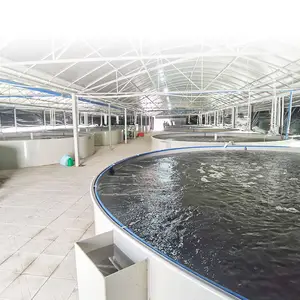 Tanque redondo para sistema de acuicultura de diseño de granja de camarones de interior/incubadora de incubación de camarones de salmuera