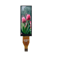 1,65 Zoll TFT LCD Display 142*428 Pixel RGB-Modul SPI-Schnittstelle NV3007 Treiber-IC 300 Helligkeit Vollansicht Weiße LED-Hintergrundbeleuchtung