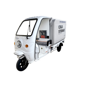 Scooter électrique frigorifique à trois roues, conteneur à double température, portable, pour camping-car, chaîne du froid extérieure, pour la dernière mile - Product Image 1