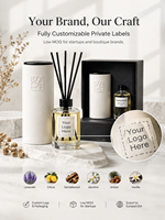 Ensemble diffuseur de parfum en céramique liquide haut de gamme avec logo personnalisé, parfum d'ambiance pour la maison, coffret cadeau écologique, OEM ODM, marque privée