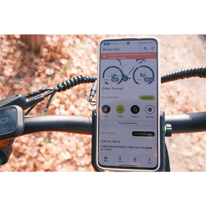 Vélo <span class=keywords><strong>cargo</strong></span> électrique 20 pouces pour adultes, homologué EEC/COC, vente en gros usine pour la livraison - Product Image 3