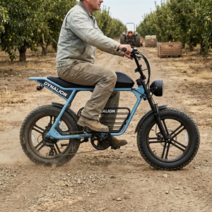 <span class=keywords><strong>Vélo</strong></span> <span class=keywords><strong>électrique</strong></span> tout-terrain robuste de style Scrambler avec freins à disque hydrauliques, idéal pour l'entretien des vergers et les allées - Product Image 5