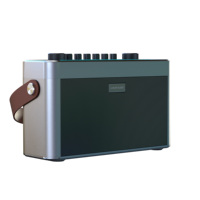 Haut-parleur de karaoké portable 2026 avec subwoofer, carte son, Bluetooth, pour scène, maison, KTV, avec deux microphones sans fil