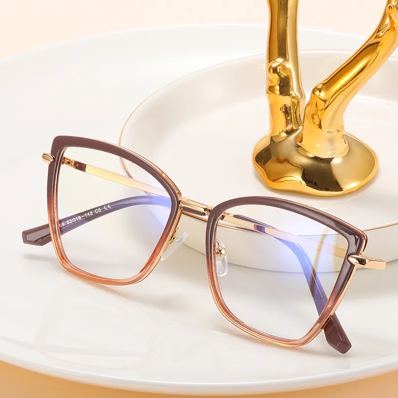 Ms Neues Modell Mode Optische Brille Tr90 Metallrahmen Blaulicht-Schutzbrille Benutzer definiertes Logo