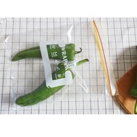 Pe — sac de conservation des aliments, Transparent, réutilisable, personnalisé, à fermeture éclair, pour sandwichs