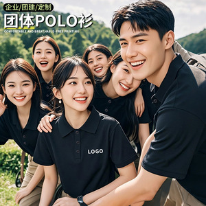 Custom Polo Shirt Workwear Men Polyester Breathable Short Sleeve Uniform With Logo For Postal Service - Product Image 2