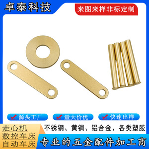 Cnc Machined Brass <b>Pin</b> Cylindrical Head Smooth Surface General Use 46mm Diameter 200mm Length Finishing Accuracy - Product Image 3