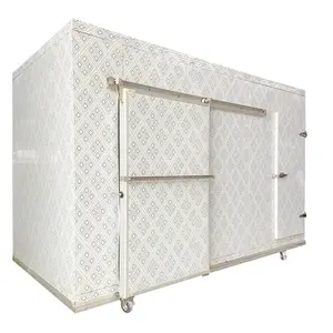 Chine Usine Mini Poulet Coolroom Congélateur Chambres Froides Entreposage Froid Portable À Vendre