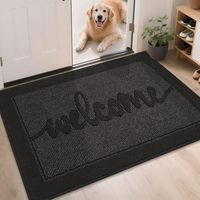 Tapis d'entrée antidérapants à profil bas Tapis de porte de bienvenue pour trappeur de saleté absorbant intérieur lavable pour porte arrière avant